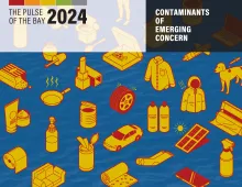 The Pulse of the Bay: Contaminants of Emerging Concern