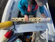 monitoring for phytoplankton