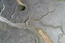 Aerial image of Corte Madera Marsh