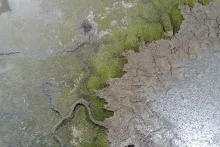 Corte Madera marsh edge aerial image