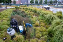 Overhead view of two scientists and sampling equipment in a densely planted area of greenery bordered by a road and car in the background