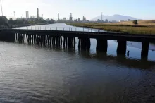 DSCF7606.JPG