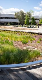 Bioswale near a building