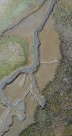 Birdseye view of a marsh