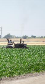 Worker on a tractor in an agricultural field