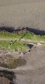 Birdseye view of a marsh and mudflat