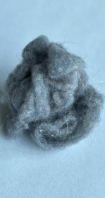 A ball of lint