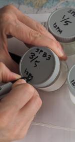 Person writing on sample caps