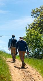 People hiking on a trail