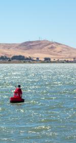 Buoy floating in water