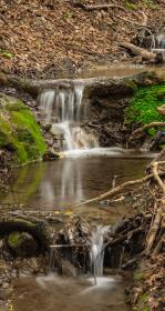 Step-pools in a stream
