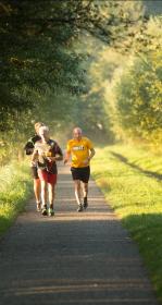 People running on a trail.
