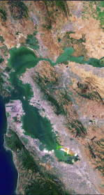 Satellite image of San Francisco Bay