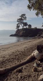 San Quentin Beach, Marin