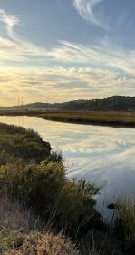 McInnis Marsh.