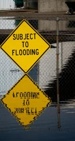 Subject to flooding yellow road sign reflected in floodwaters that reach the sign's bottom. Photo by Alex Braud