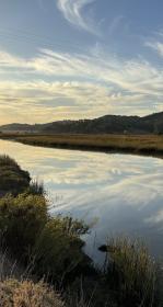 McInnis Marsh