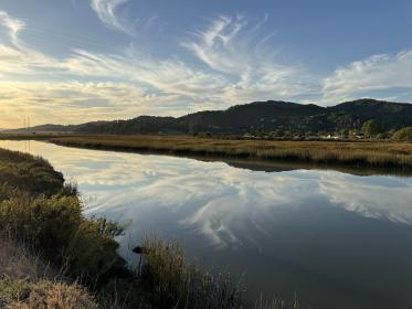 McInnis Marsh