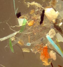 Plastics