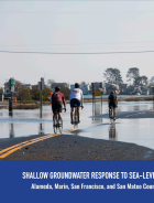 Shallow Groundwater Response to Sea-Level Rise
