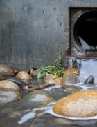 Stormwater Outfall