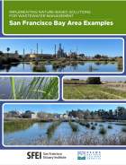 Report Cover: Implementing Nature-based Solutions for Wastewater Management