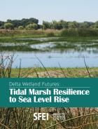 Report cover with tidal marsh on it