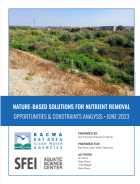 Report Cover: Phase I Opportunities & Constraints Analysis