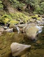 Pescadero Creek Low-Flow Conditions Report