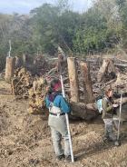Field technicians discussing an engineered log jam on Butano Creek