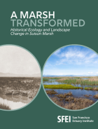 Cover page of A Marsh Transformed report