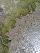 Aerial image of Corte Madera growth edge