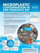 Factsheet cover image