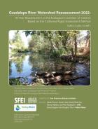 Guadalupe River Watershed Reassessment 2022 cover page