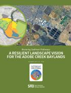 Report cover