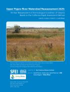 Report Cover