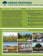 fact sheet preview