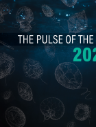 Report cover with dark background and illustrations of algae. Reads "The Pulse of the Bay 2026: Nutrients in the Bay"