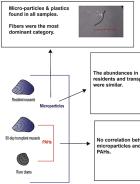 Graphical abstract
