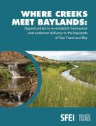Cover of a report with wetland on the front