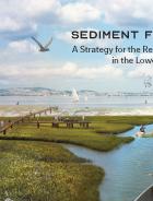 Sediment for Survival title page for web.jpg