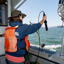 Monitoring the bay