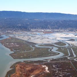 South Bay Salt Ponds