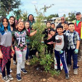 People standing around a new tree planting