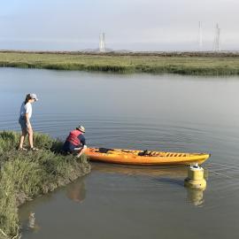 boat on a marsh