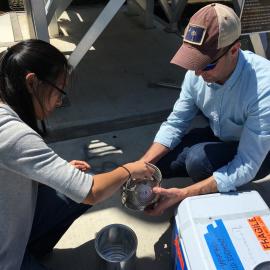 Dr. Lee Ferguson (Duke University) and Jennifer Sun preparing to collect a sample from the Napa River for nontarget analysis in 2016.