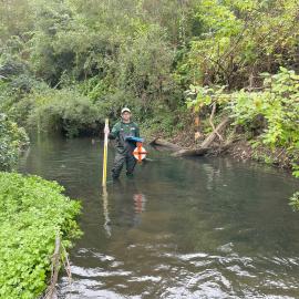 Pescadero Creek at low flow, summer 2023