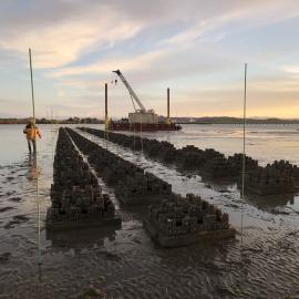 View of constructed oyster reefs sitting on a mudflat at low tide, with a crane on a barge helping with the reef construction in the background.