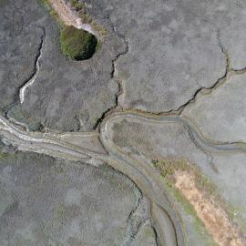 Aerial image of Corte Madera Marsh