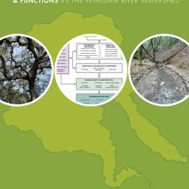 Cover of the future climate impacts to riparian ecosystems in the Petaluma River watershed report